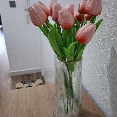 Water Lily Oasis Courtyard - 5min Walk To *